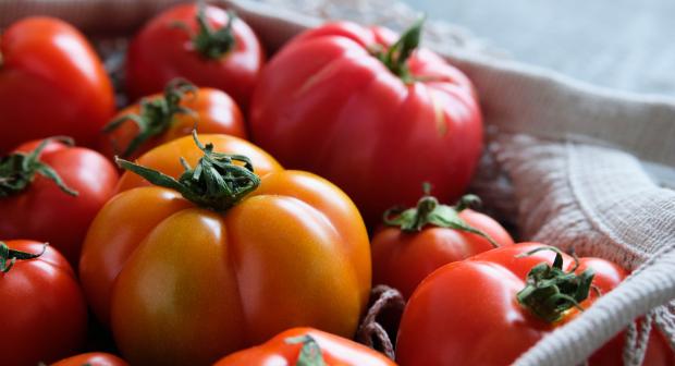 Quelles sont les différentes variétés de tomates?