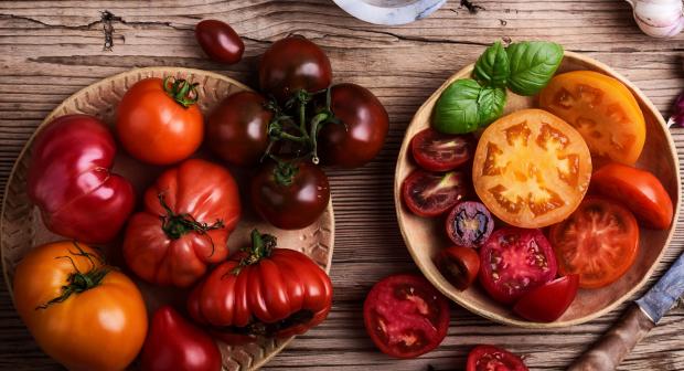 Coup de chaud: nos meilleures recettes avec de la tomate