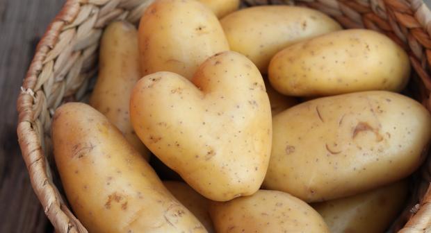 Aardappels bewaren: zo gaan ze het langst mee