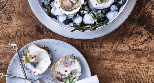 Uit hun schelp: met deze tips en recepten haal je het beste uit je oesters