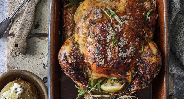 Kiplekker: alles wat je moet weten over kip