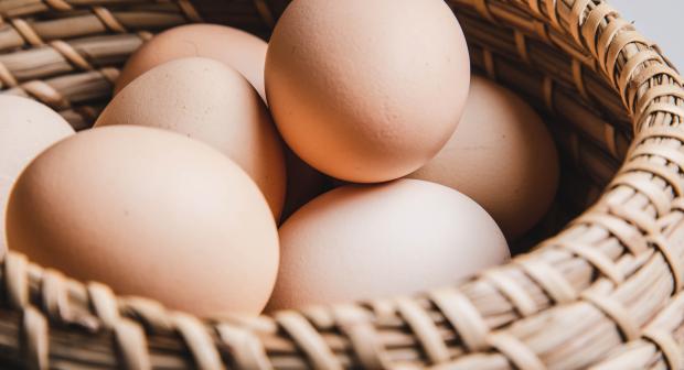 Dur, à la coque, mollet: 9 temps de cuisson à connaître pour des œufs parfaits