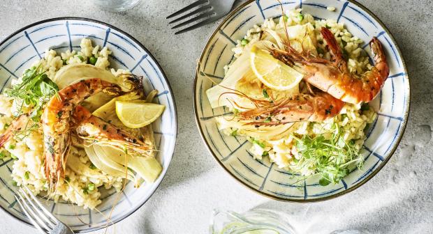 Laat de zon in je hart: alles over zomerkoken