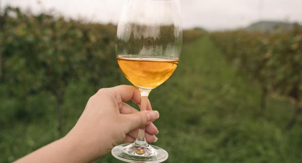 Wat is orange wine?