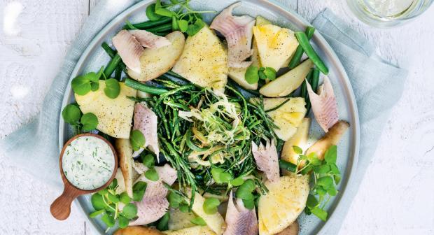 Nos 20 meilleures recettes avec de la truite