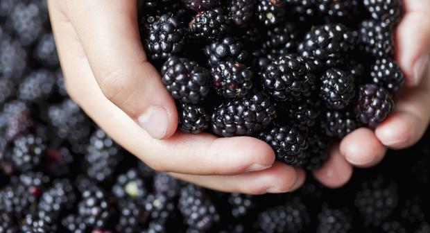 5 redenen waarom braambessen jouw nieuwe superfruit zijn
