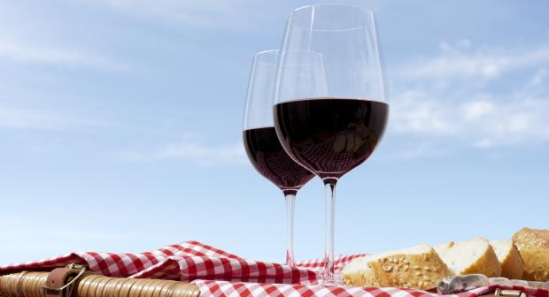 Welke wijn past goed bij een picknick?