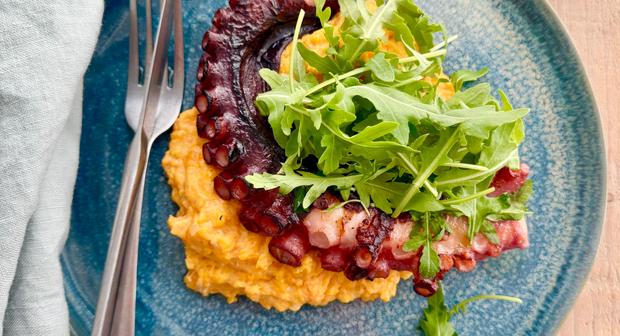 Van ceviche tot pinsa: Ilse verrast met lokale vis in het seizoen!