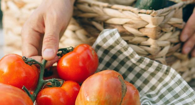 L'erreur qu'on fait tous avec nos tomates