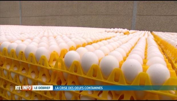 Le Débrief Rtlinfo Revient Sur La Crise Des Oeufs Contaminés 