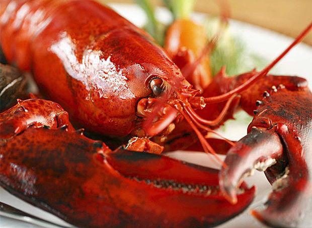 Homard à l'honneur