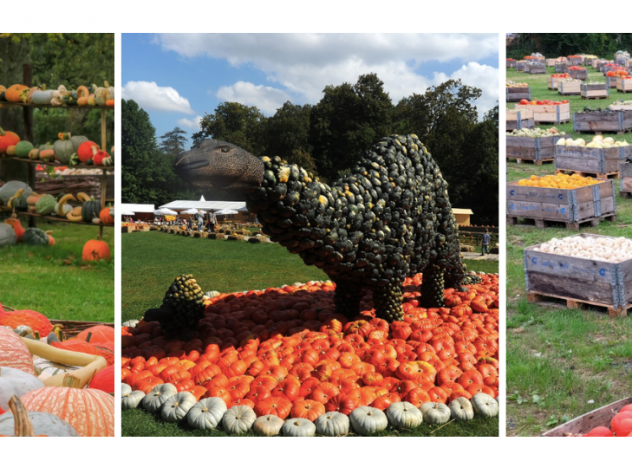 citrouilles Halloween