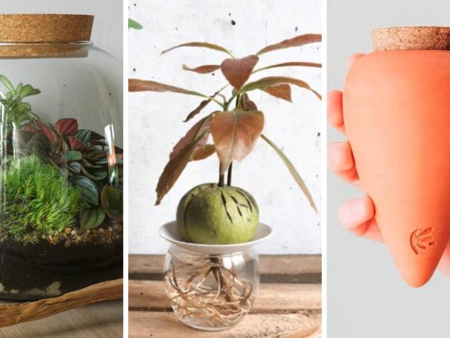 Dix idées-cadeau pour un·e accro aux plantes.