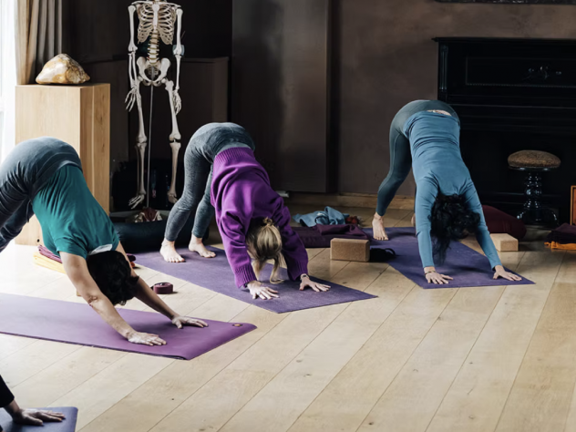 journée yoga