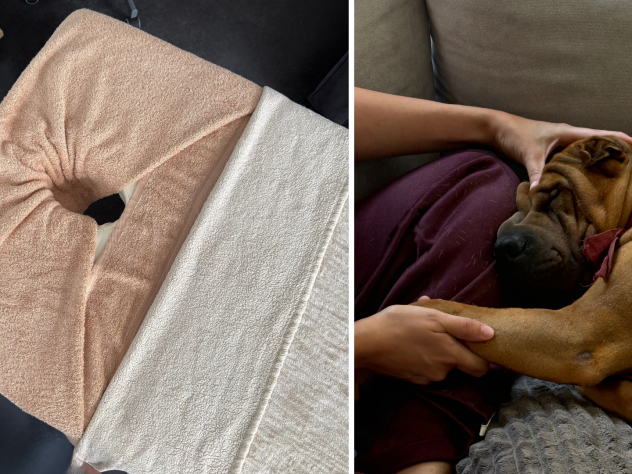 massage chien
