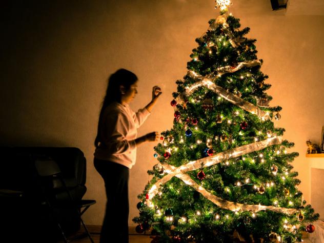 tips om kerstboom te verzorgen