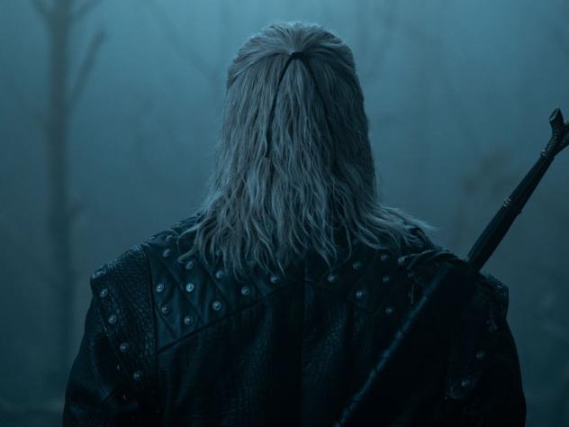 the witcher