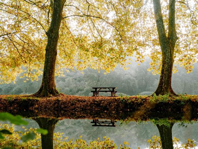 herfst reisbestemmingen