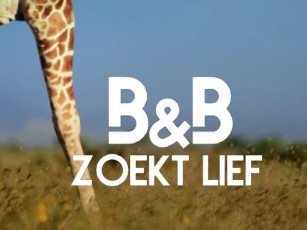 B&B zoekt Lief