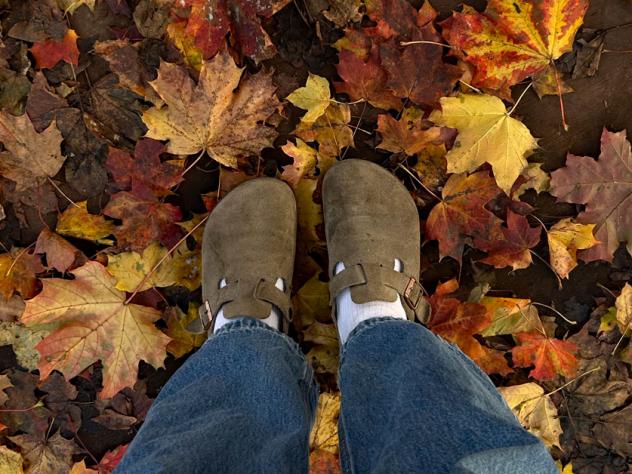herfst sterrenbeeld
