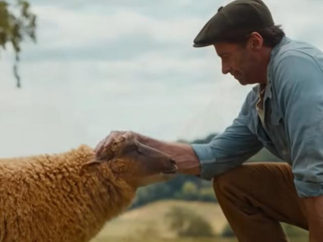 The Sheep Detectives