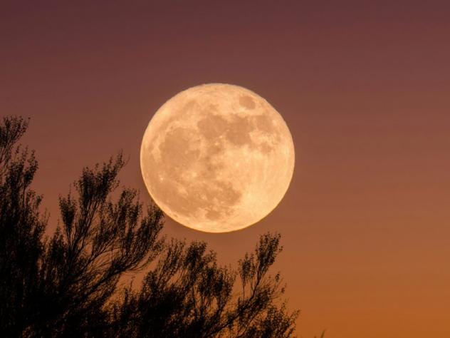 volle maan maankalender