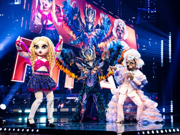 the masked singer