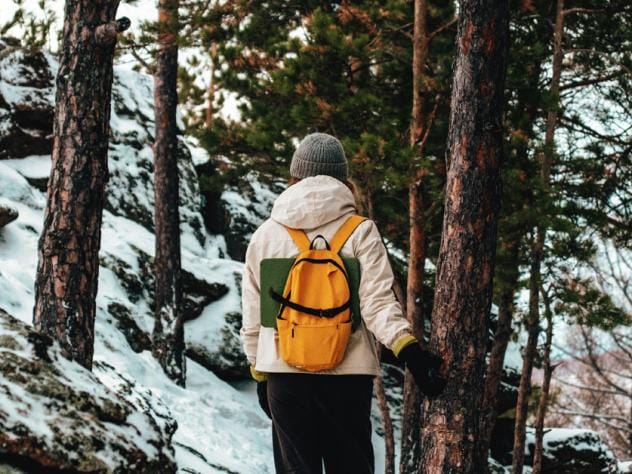 wandeling ardennen in de sneeuw