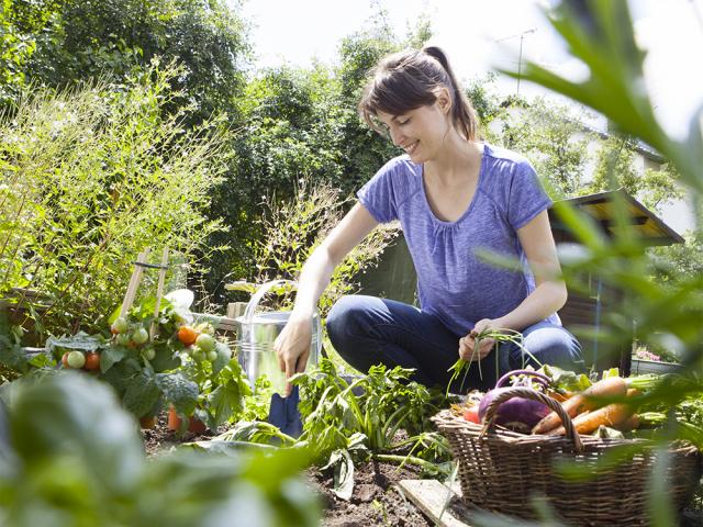 Potager: les mariages parfaits