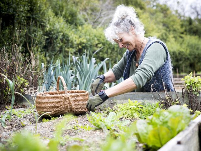 moestuin april