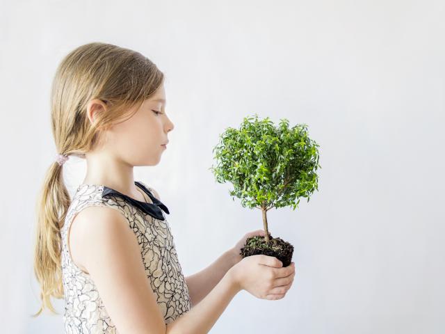 S'occuper des plantes, une façon de responsabiliser les enfants