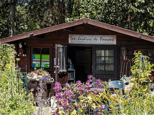 Les jardins de Pomone à Bruxelles