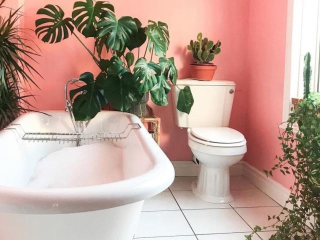 Quelles plantes pour végétaliser sa salle de bains?