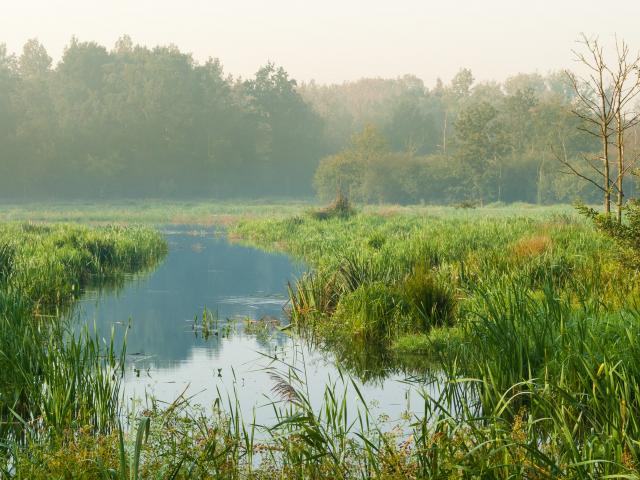 wandelen