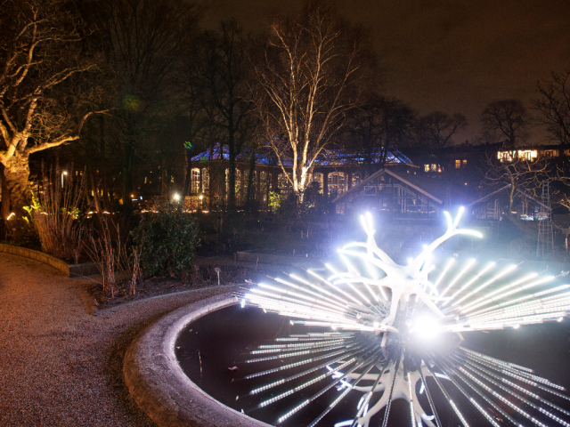 Lichtkunstfestival