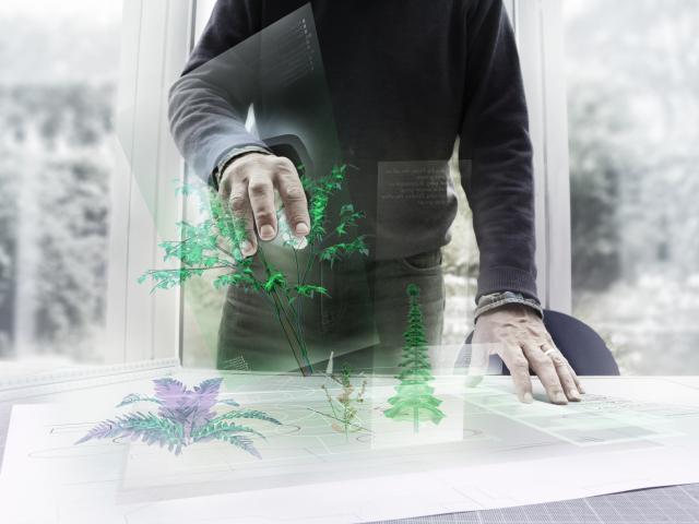 Conseils d'un architecte paysagiste pour redessiner son jardin