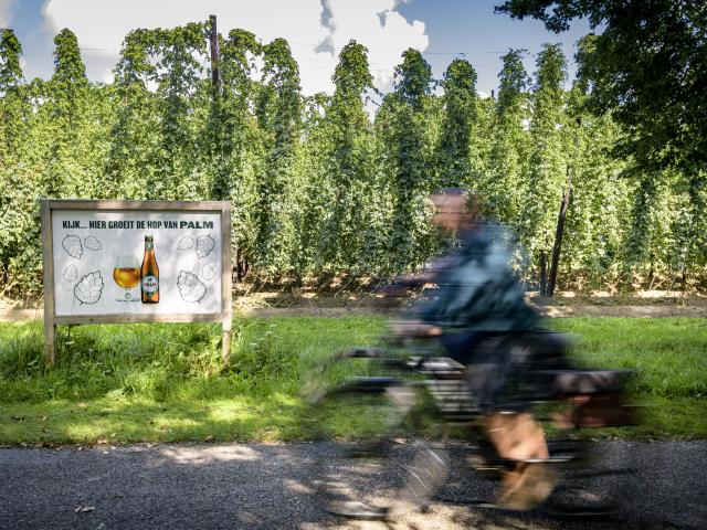 fietsen Vlaams-Brabant