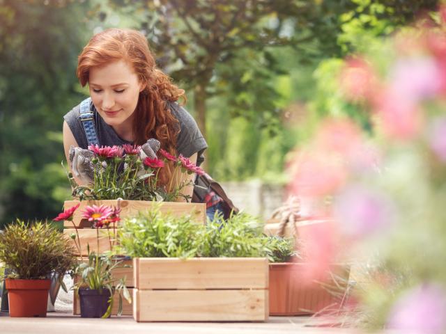 10 choses à faire au jardin en juillet