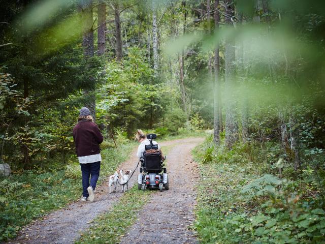 Balades accessibles aux fauteuils roulants
