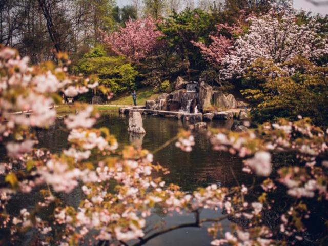 Le Jardin japonais à Hasselt