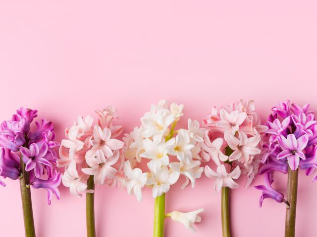 hyacint bloemschikken