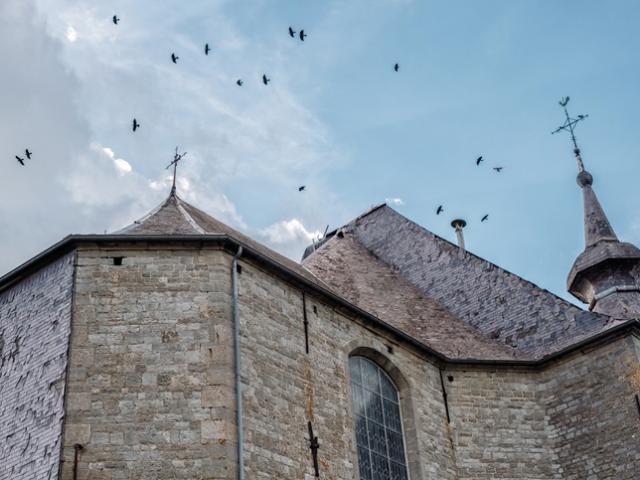 uittips in en rond chimay