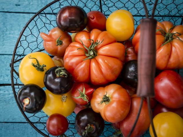 tomaten in koelkast