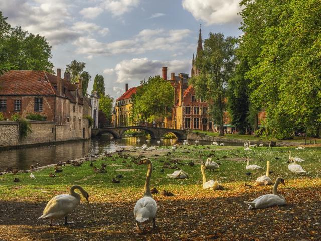 Brugge herfstuitstapjes