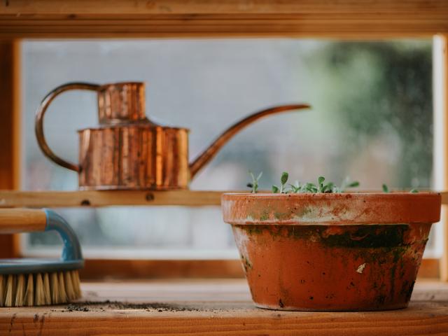 terracotta potten