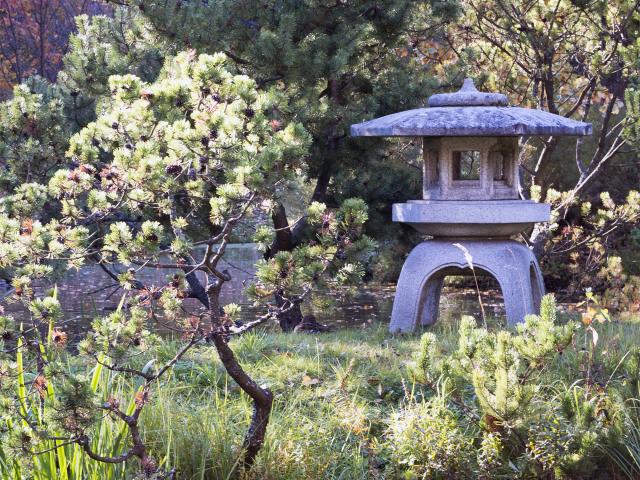 Japanse tuin