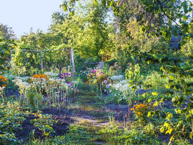 plagen tuin augustus