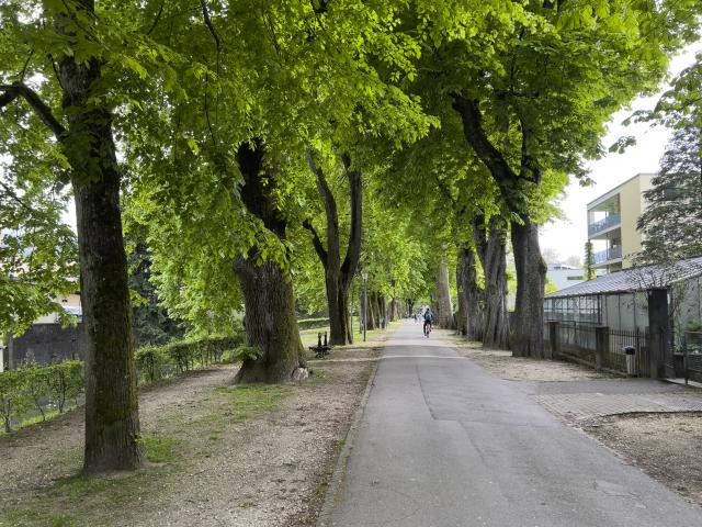 bern op de fiets