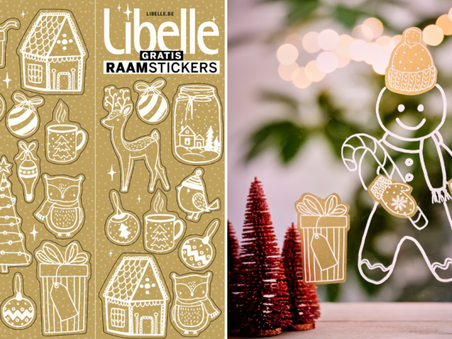 Libelle raamstickers