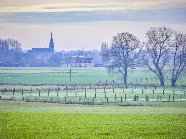 winterwandelingen